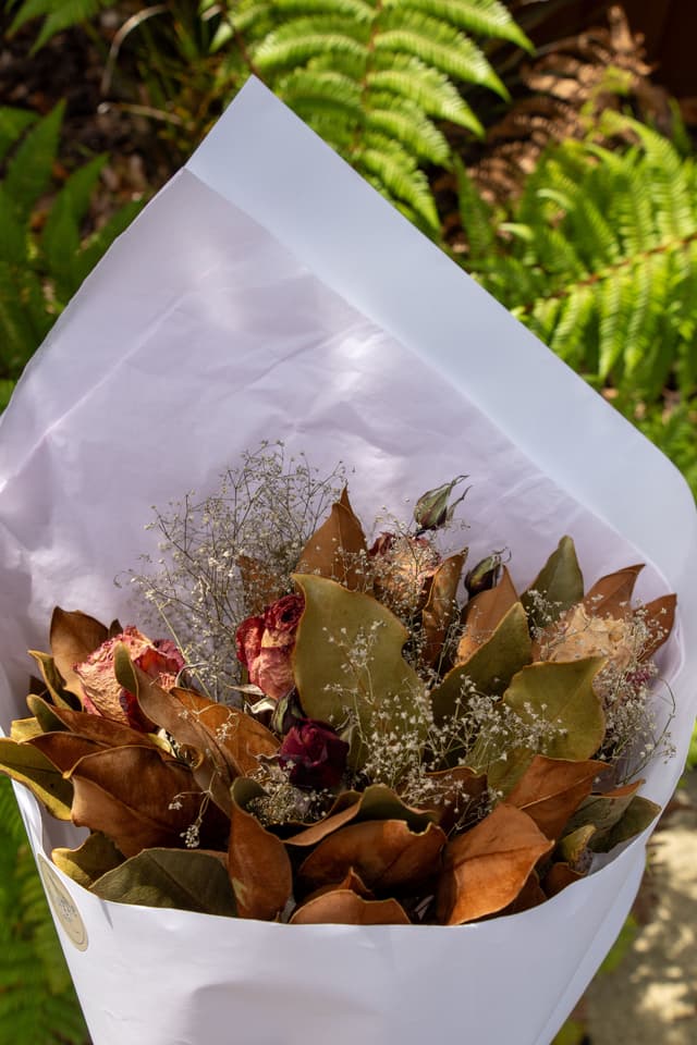 Bouquet Flowers Dried Leaves White Paper Wrapping Ferns Green Brown Red Stems Arrangement Nature Outdoors Floral Gift Botanical Texture Background Natural Light Wrinkled Petals Foliage Stemmed Plant Wrapping Paper Drying Arrangement Wrinkled Petals