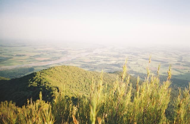 landscape nature hills vegetation greenery plants horizon sky sunlight outdoor scenic vista panoramic serene peaceful primary green
