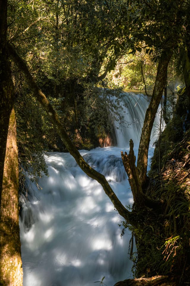 A waterfall cascading through a lush, forested area with sunlight filtering through the trees