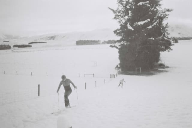 snow winter tree skier skiing landscape outdoors fence field monochrome black white cold nature sport person pine rural countryside hill slope path trail sky cloud shadow texture contrast vintage retro serene peaceful quiet calm isolated remote vast open expanse
