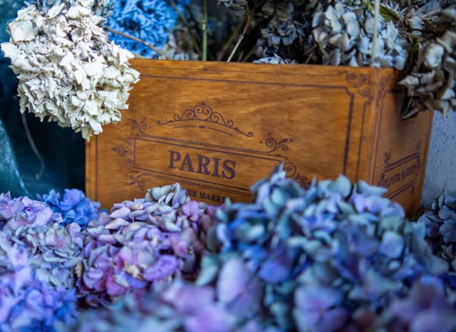 flowers hydrangeas box wood Paris text blue purple dried bouquet decoration vintage rustic arrangement floral display brown natural texture blossoms petals wooden container ornamental primary-color