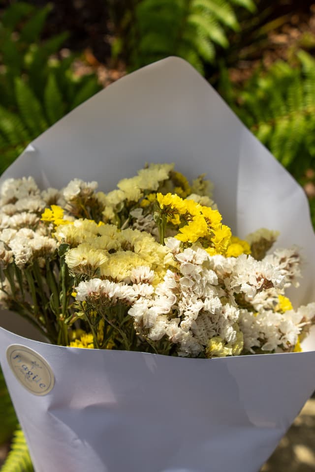 flowers bouquet white yellow paper greenery leaves sunlight nature outdoors arrangement petals stems wrapping flora garden bright fresh vibrant natural decorative gift celebration romantic elegant beautiful delicate foliage primary-color