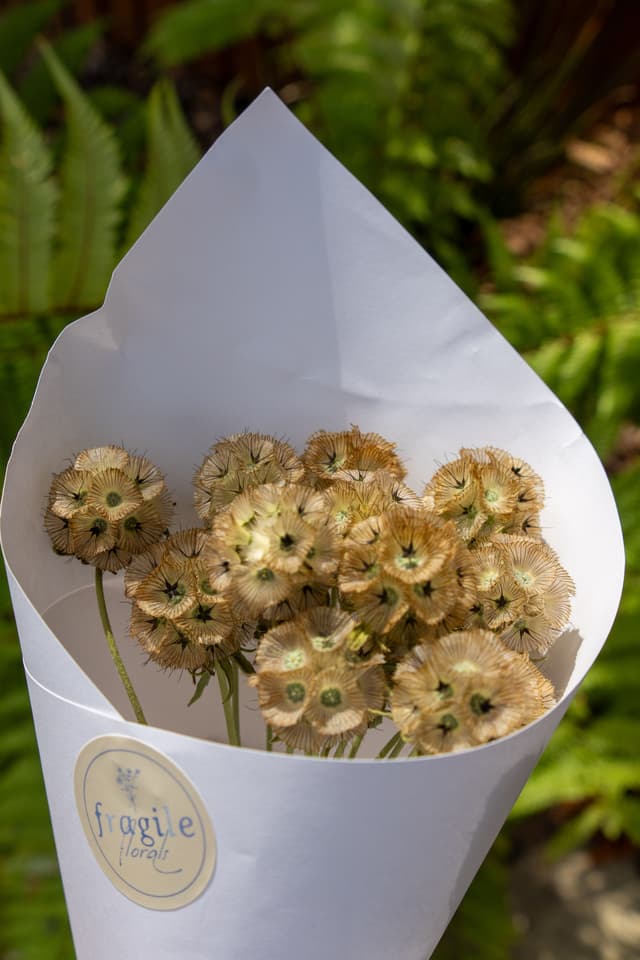 flowers bouquet paper white green nature outdoors leaves stems petals arrangement delicate natural sunlight flora wrapping garden label sticker brown beige