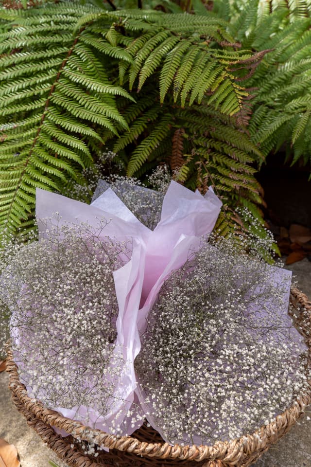 flowers bouquet basket ferns greenery leaves foliage pink white delicate arrangement nature plant decoration wrapping paper natural outdoor garden floral display green