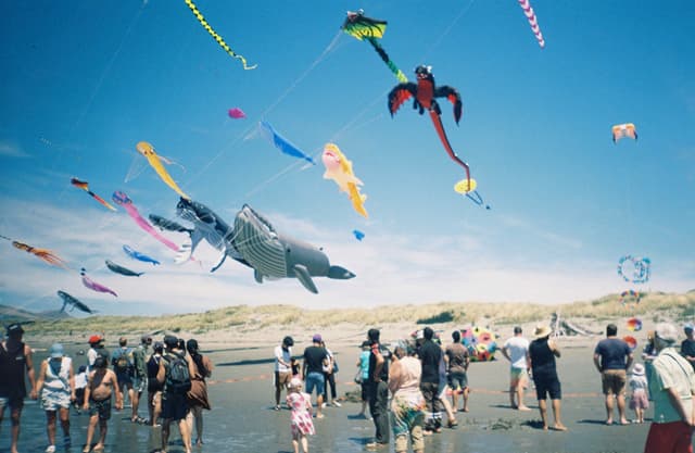 People gathered on a beach flying colorful kites of various shapes, including animals, under a clear blue sky