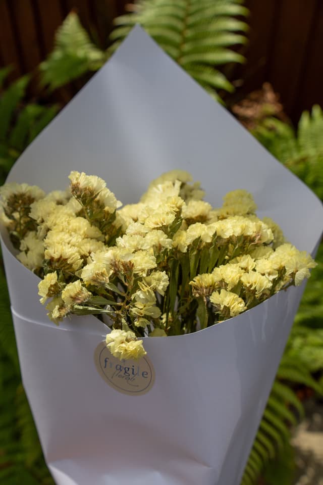 flowers bouquet white yellow green leaves wrapping paper outdoors nature plant garden ferns sunlight floral arrangement blossoms stems petals foliage natural beauty decorative gift present fresh bright vibrant delicate soft elegant romantic celebration spring summer bloom texture background environment serene peaceful tranquility harmony lush growth botany ornamental