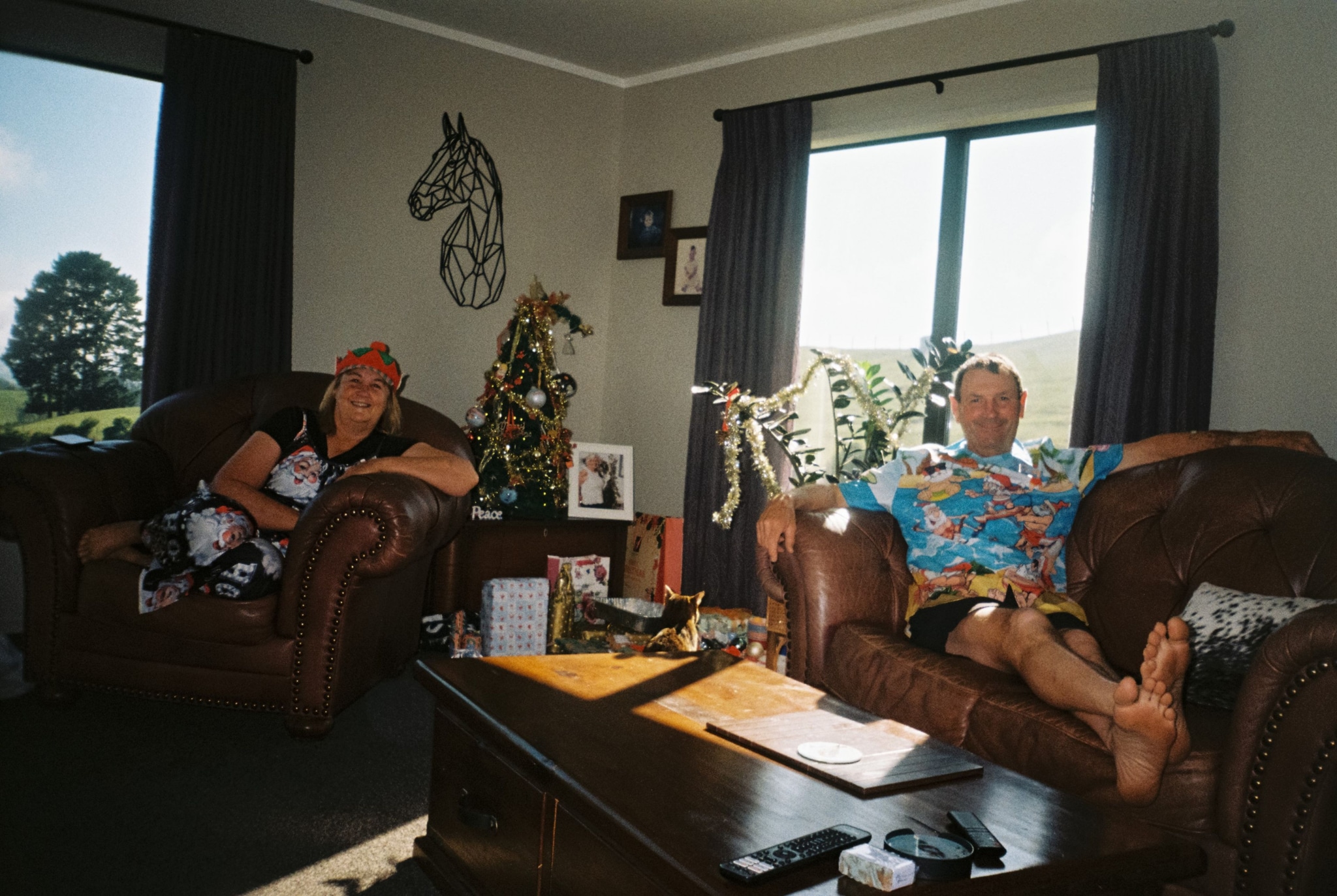 room sofa people window curtains table lamp giraffe statue picture frame book magazine remote control cushion pillow plant tree wall art carpet ceiling light brown blue black white green red yellow beige glass wood fabric leather paper metal plastic decoration sitting relaxing interior furniture living space natural light daytime casual home cozy primary color brown