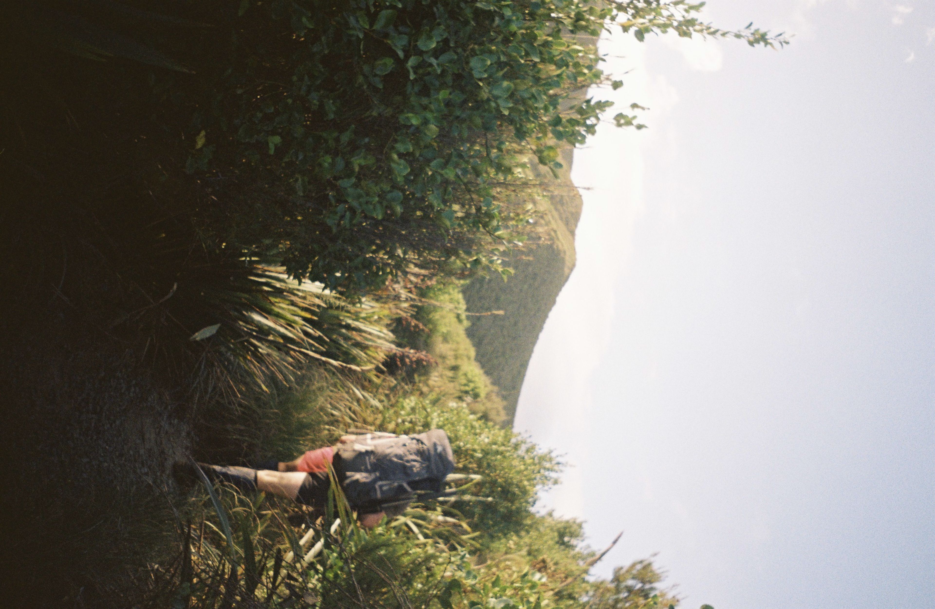 hiking backpack trail greenery bushes plants trees mountain outdoors nature sunlight sky blue path adventure exploration walking boots shorts forest landscape journey travel wilderness trekking