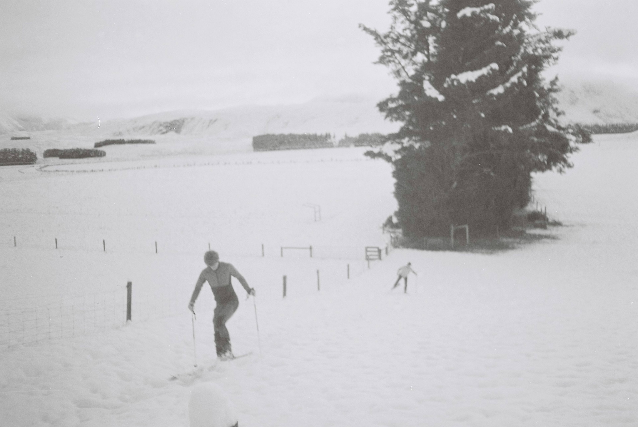 snow winter tree skier skiing landscape outdoors fence field monochrome black white cold nature sport person pine rural countryside hill slope path trail sky cloud shadow texture contrast vintage retro serene peaceful quiet calm isolated remote vast open expanse