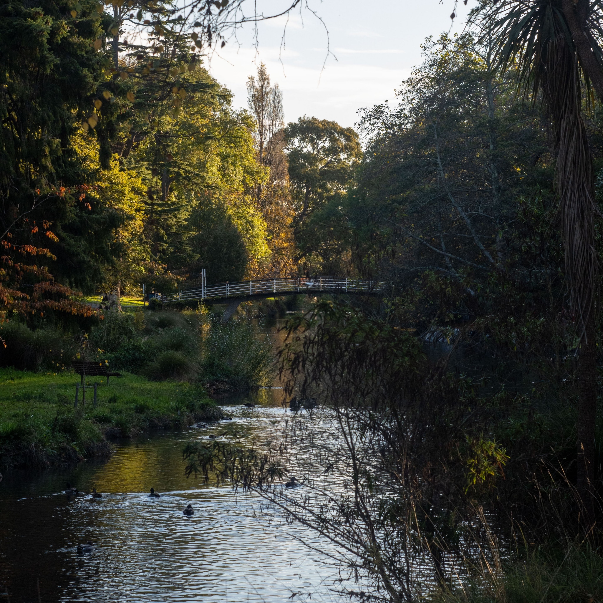 Bridge over water
