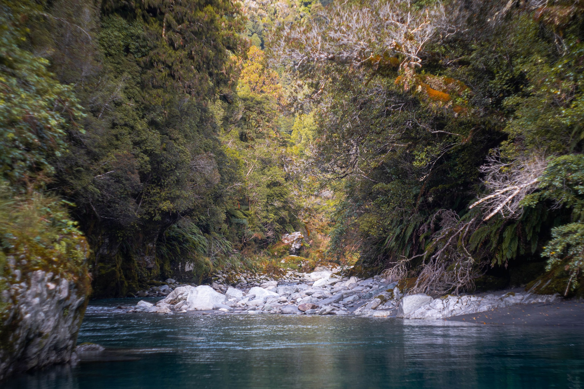river water forest trees rocks foliage greenery nature landscape stream flow blue green lush outdoors scenic tranquil peaceful serene wilderness natural environment vegetation pathway sunlight reflection tranquility beauty exploration adventure journey untouched remote pristine calm quiet harmony balance ecosystem habitat conservation biodiversity earth life travel destination escape retreat relaxation rejuvenation