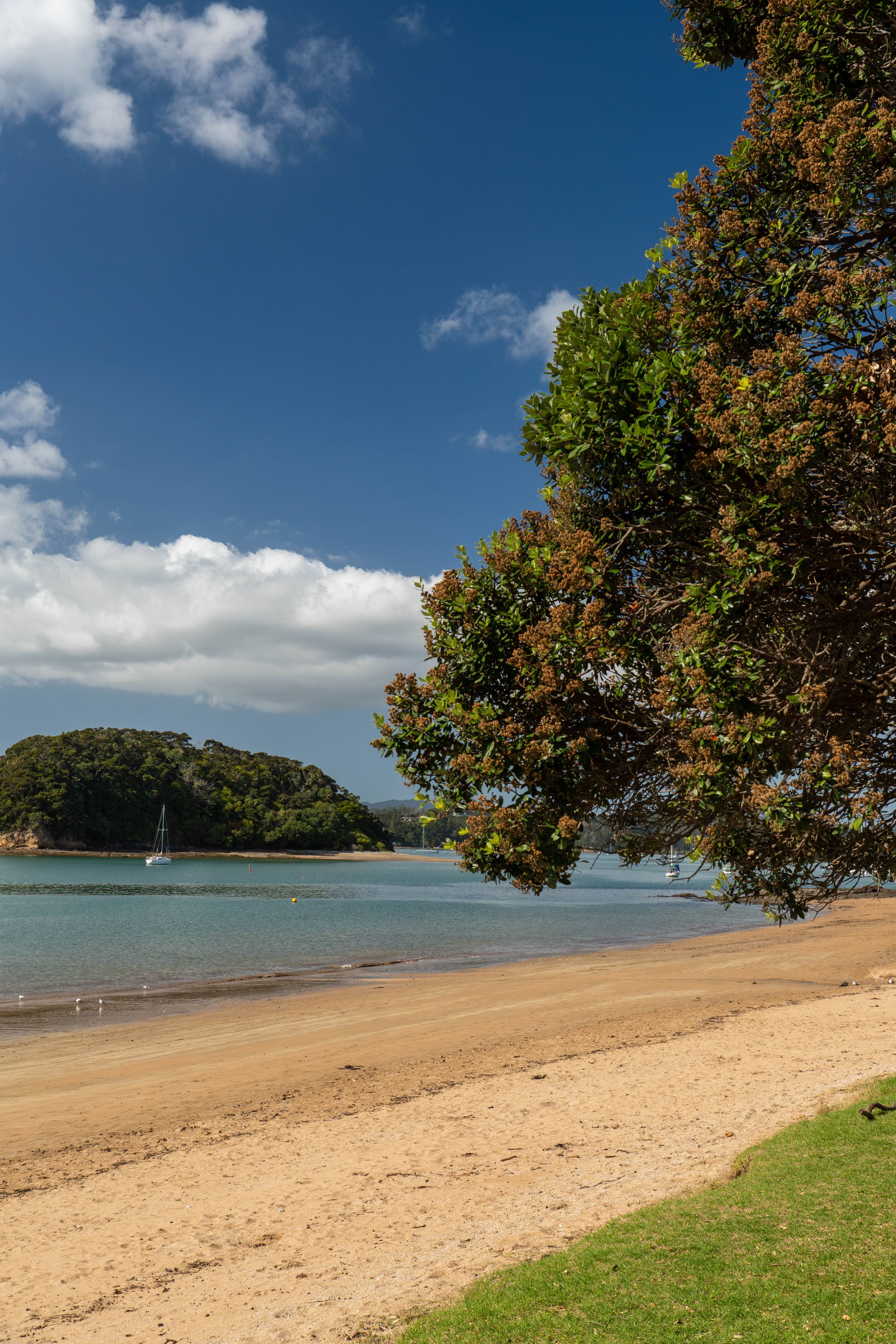 Paihia